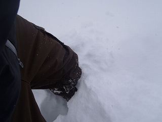 P2260044.jpg