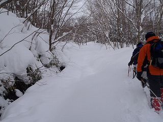 P2260075.jpg