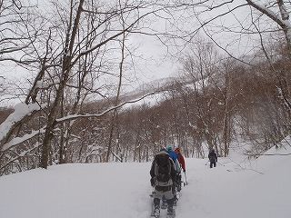 P2260130.jpg