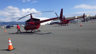 RIMG0308.jpg