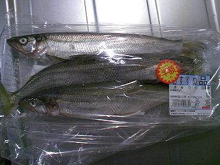 TS3E3712.jpg