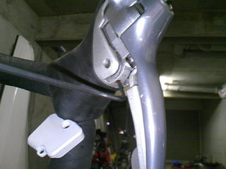 TS3E4236.JPG