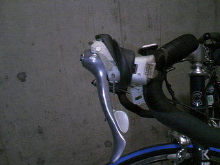 TS3E4250.JPG